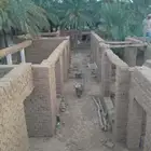 المقولات تراثية وترميم البيوت الطين القديم والسقوف باالخشب و
