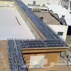 شركة طارد الحمام بمكه تركيب أشواك مكافحة الحمام في مكه