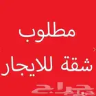 مطلوب شقة غرفتين إيجار شهري