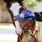 مطلوب سايس خيل
