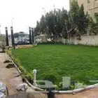 مشتل ربيع المملكة