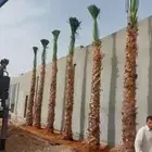 يوجد عربي وواشنطن