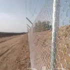 مقاول شبوك وزراعه اشجار النخيل