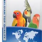 اكل طيور الروز و الكروان كويكر و كنيور حجم 20 كيلو