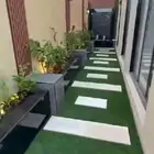 تنسيق حدائق جازان