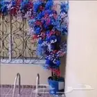 تنسيق شجر ورد الربيع
