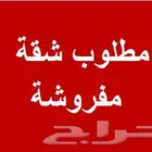 مطلوب شقة مفروشة