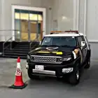 شركة حراسات امنية