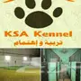 مركز العناية بالكلاب K.S.A Kennel: حلول شاملة لرفاقكم الأوفياء!