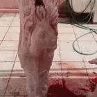 قصاب العيد كل عام وانتم طيبين