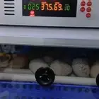فقاسة نظام اروبي