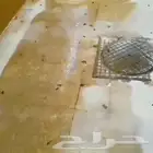 مكافحة حشرات بالرياض والخرج وجميع خدمات التنظيف