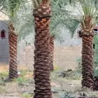 السلام عليكم ورحمه الله وبركاته