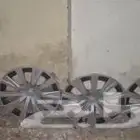 طيس كامري