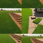 جميع اغراض الزراعه ثيل أشجار نخيل زهور عماله