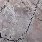 تكسير الصخور