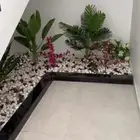 احواض زراعه