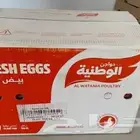 للبيع كراتين بيض فارغه