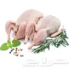 حمام طازج يوميا