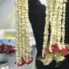 فل طبيعي