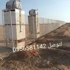 مقول شبوك