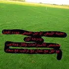 نجيله طبيعي او ثيل