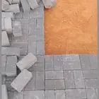 antarluck