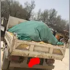 أبو جبران لجميع موادالبناء رمل اسمنت بحريني بلك غراء