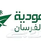 أميال الفرسان للبيع