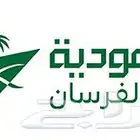 اميال الفرسان ال10 الاف ميل ب620 ريال