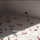 معلم بلط سيراميك ارضىاه بنا