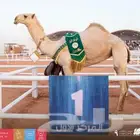 أستأجر جمال تراثية ليوم التأسيس