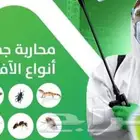 شركة مكافحة حشرات بمكة رش الحشرات مكه