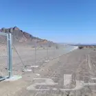 مقول شبوك في احنا المملكه