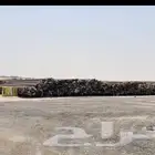 بيبان للبيع بالطن الموقع العلا