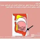 اخصائي تخاطب وتنمية مهارات وتعديل سلوك صعوبات تعلم