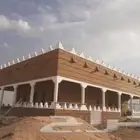 نخيل مثمر وزينه بجميع أنواعه ومقاساته المختلفه وبنان التراث