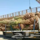 السلام عليكم ورحمة الله وبركاته يوجد الدينا فسايل كبيره وصغ