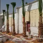جميع المقاسات متوفره