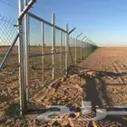 نقوم بتركيب جميع انواع الشبوك النخيل المثمر طيب جميع المقاسا