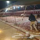 تنظيم حفلات ومخيمات وجميع المناسبات