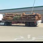 يوجد لدينا جميع أنواع النخل الموقع الجله ارقم
