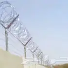 مقول شبوك بجميع الموصفت وزرعت نخيل