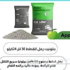 اكسسوارات. طيور. دجاج. حمام.