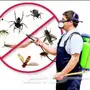 مكافحة حشرات احترافية في المدينة المنورة