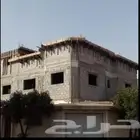 مخطط نخلان النقاش الحوامضه خبط الجنيه جيزان مكه بشكل عام