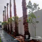 تنسيق الحدائق وتركيب جميع شبكات الري نحن على استعداد تام لتر