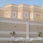 الدكتور ت الخارجيه بديل الحجر الطبيعي