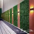 عشب خارجي سطح حوش