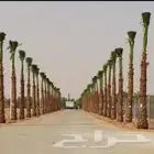 نقوم بتوريد انخل بجميع المقاسات